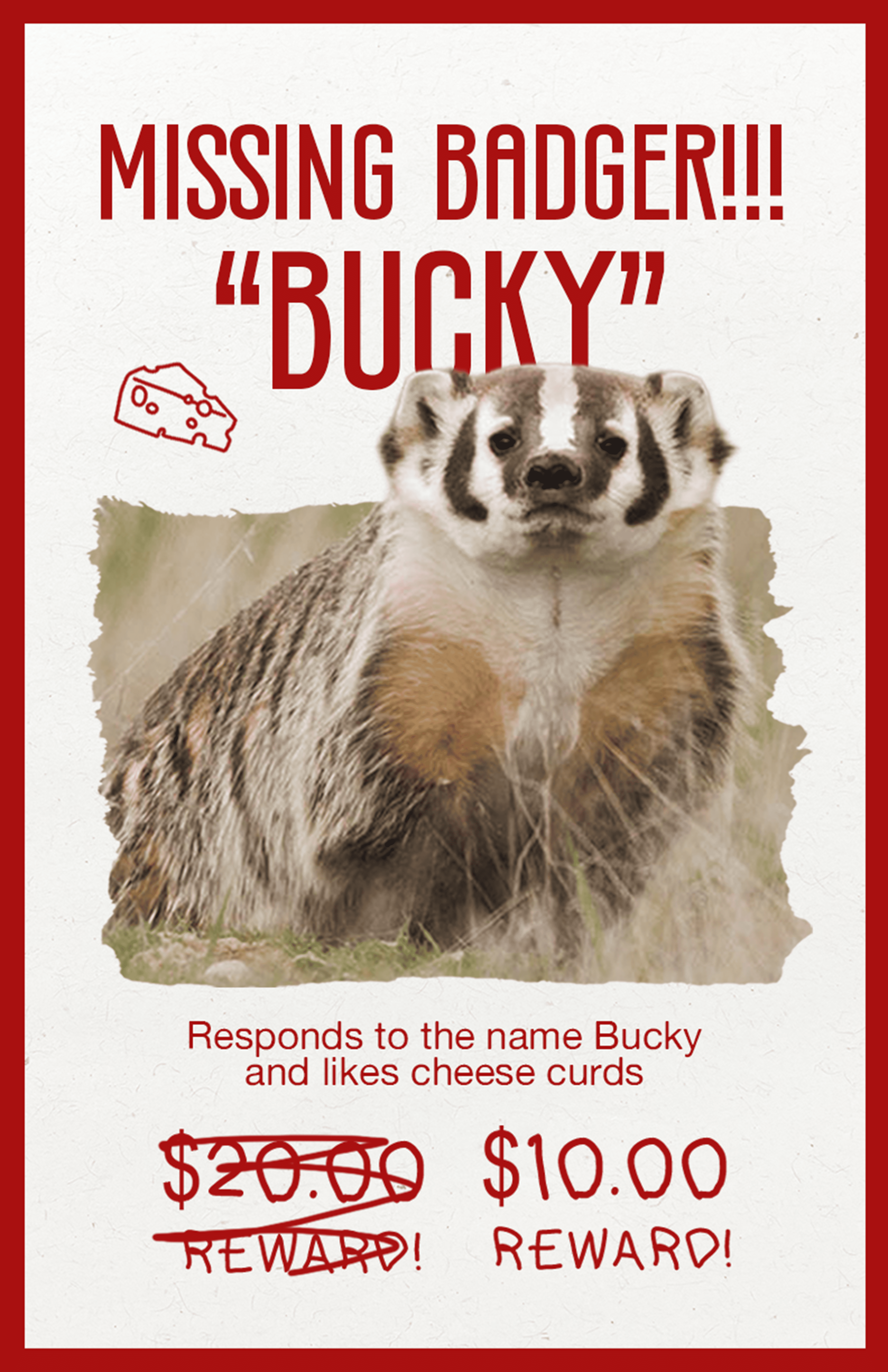 Missing Badger