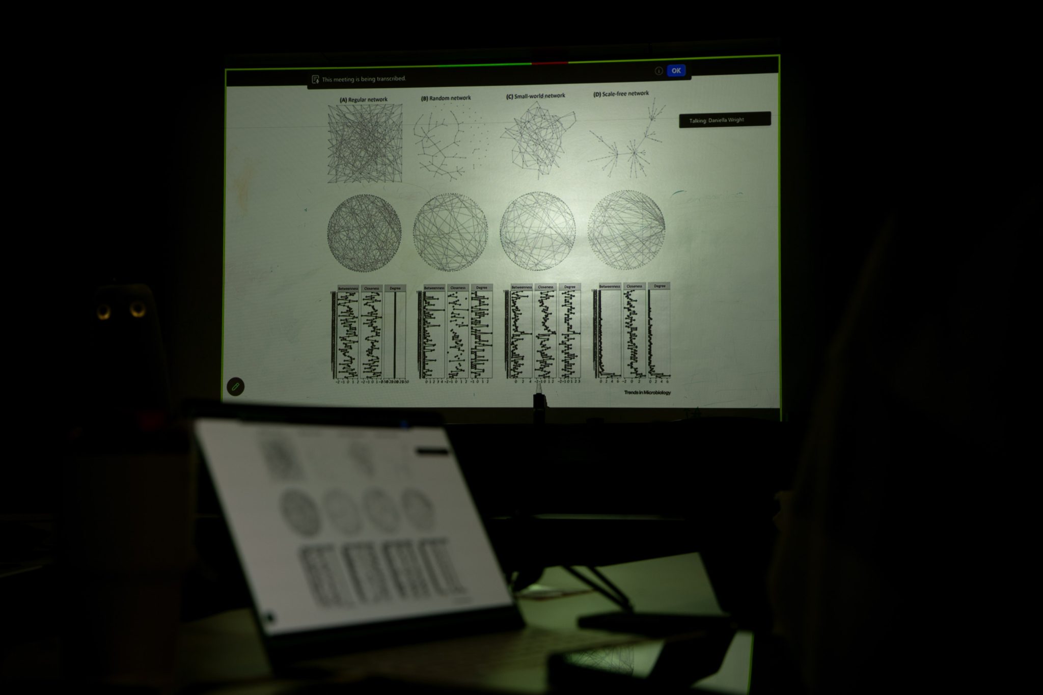 Network visualization on a projector